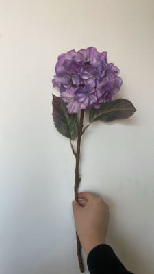 FLOR HORTENSIA HYDRA AMATISTA