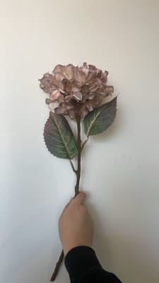 FLOR HORTENSIA HYDRA TE