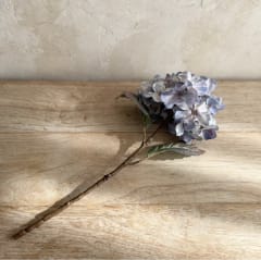 FLOR HORTENSIA HYDRA CERULEO