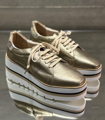 BV 10033 METAL ARENA