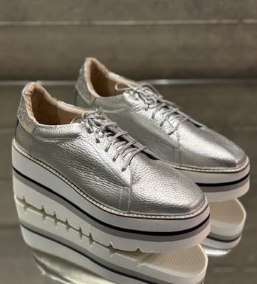 BV 10033 PLATA