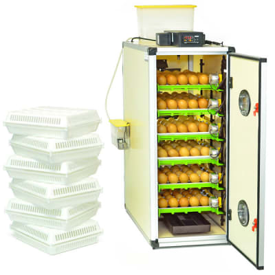 Incubadora para 180 huevos Cimuka CT180 SH