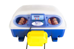 Incubadora Borotto Real 24 0
