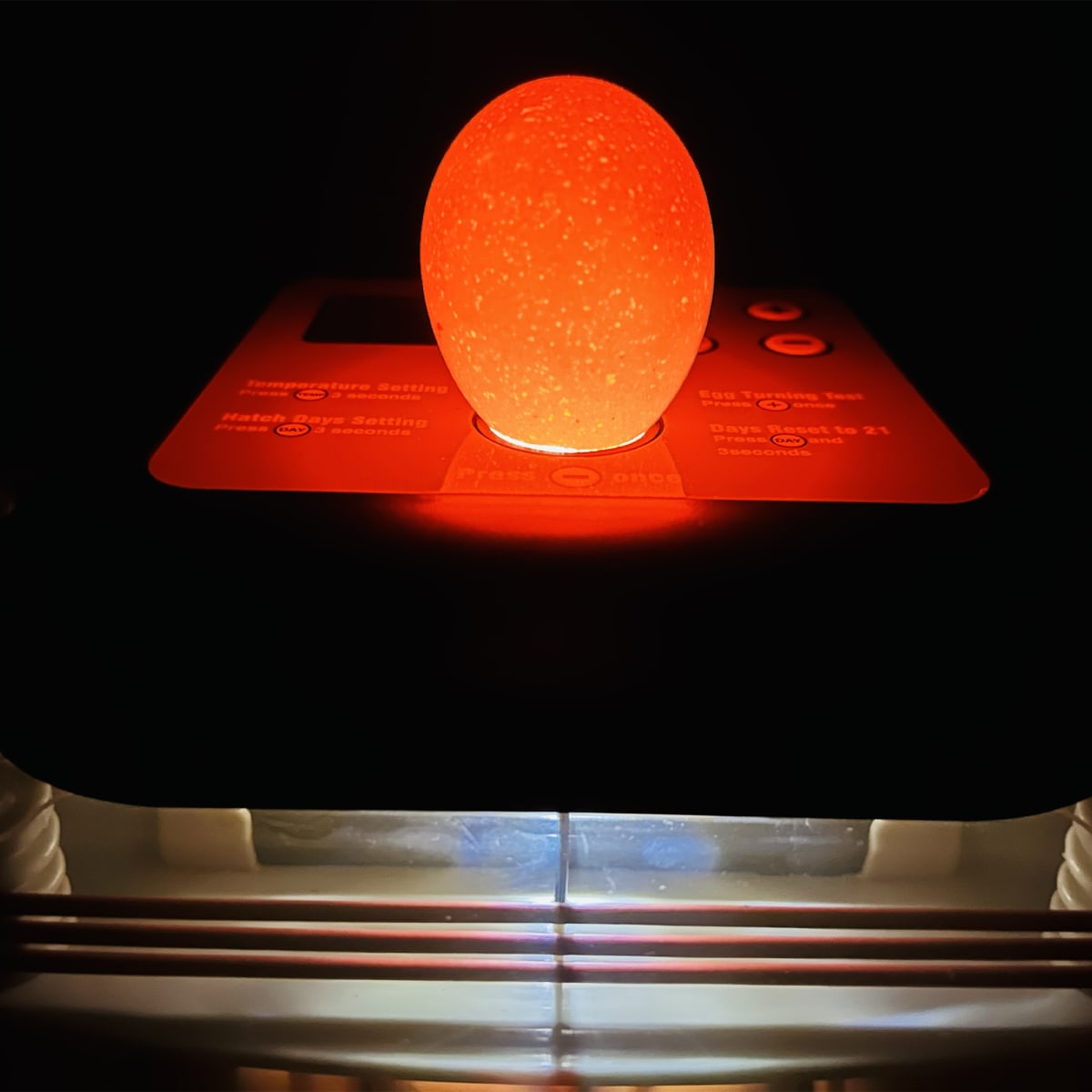 Incubadora EU Profi 246