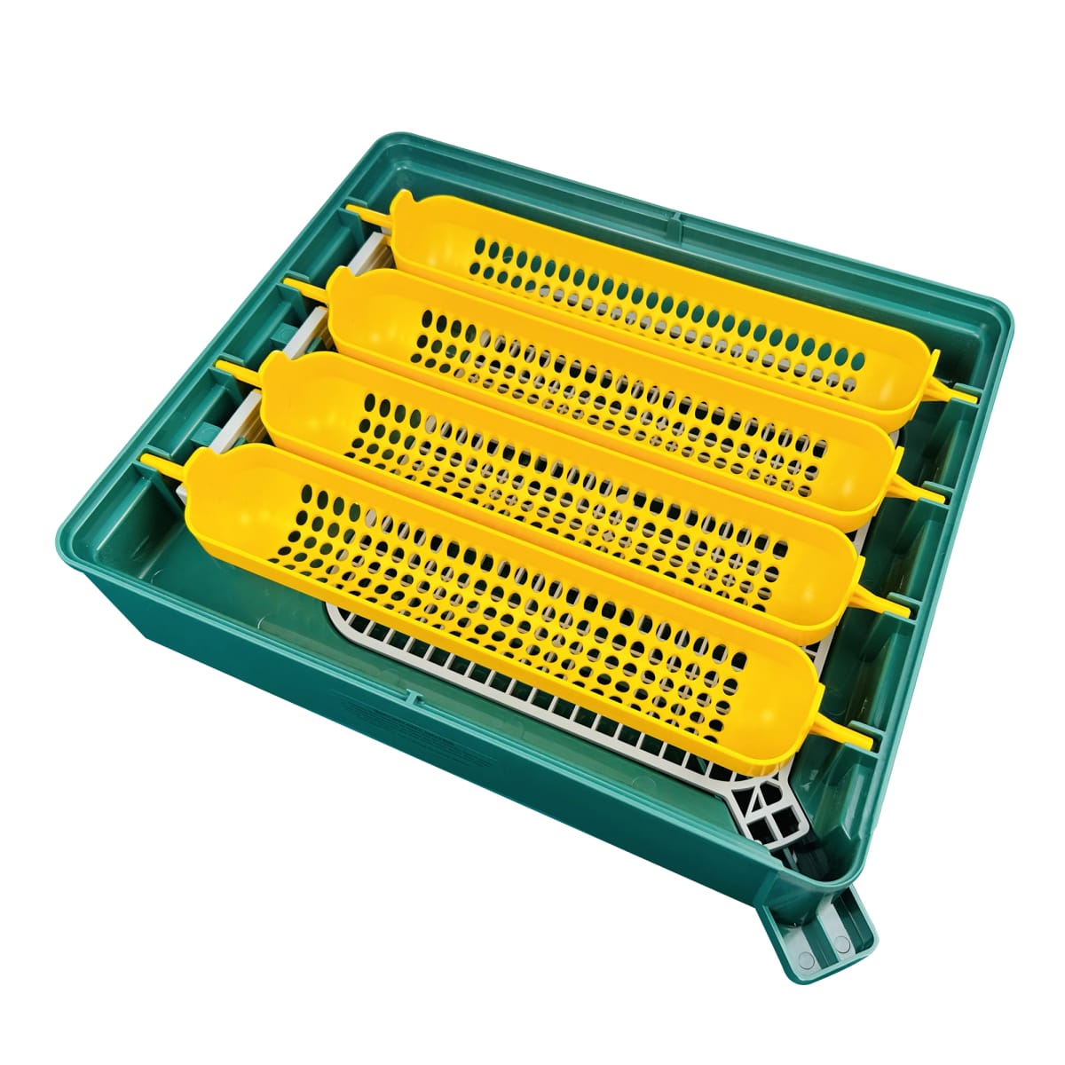 Incubadora EU Profi 243