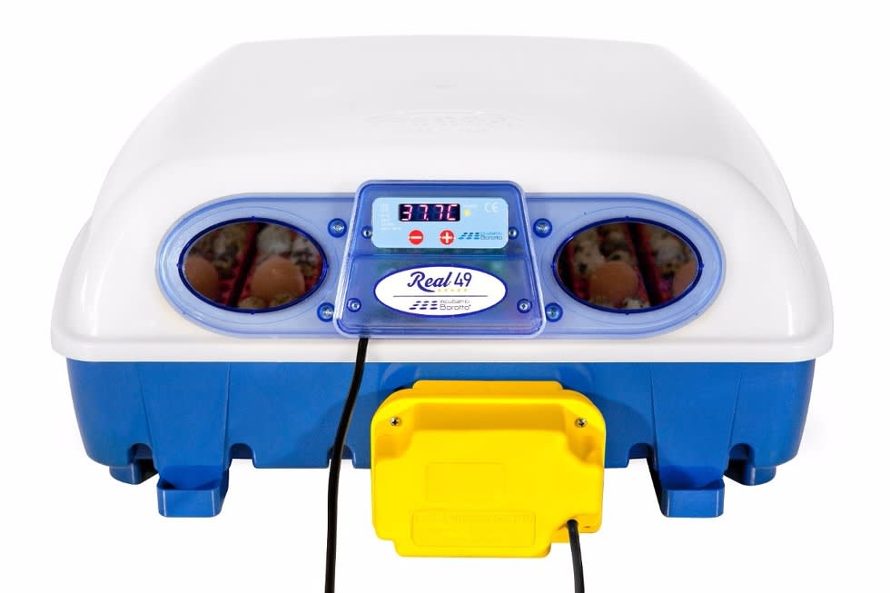 Incubadora Borotto Real 491