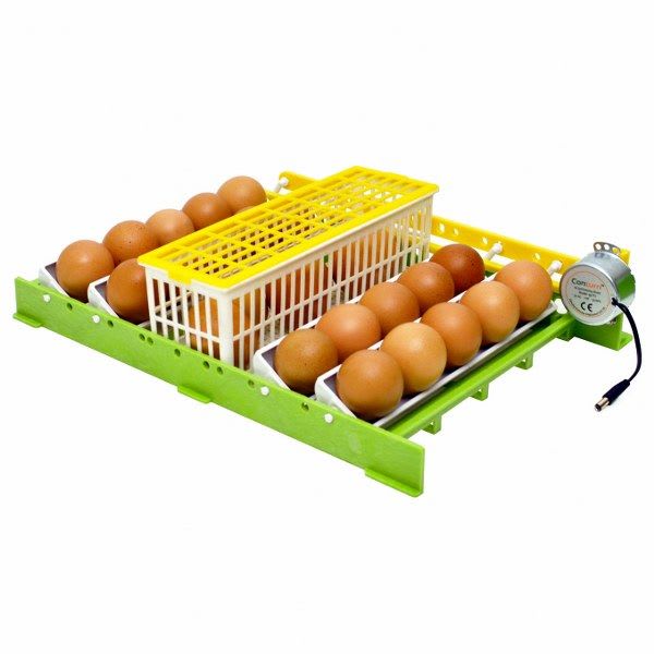 Cesta Incubadora CS63