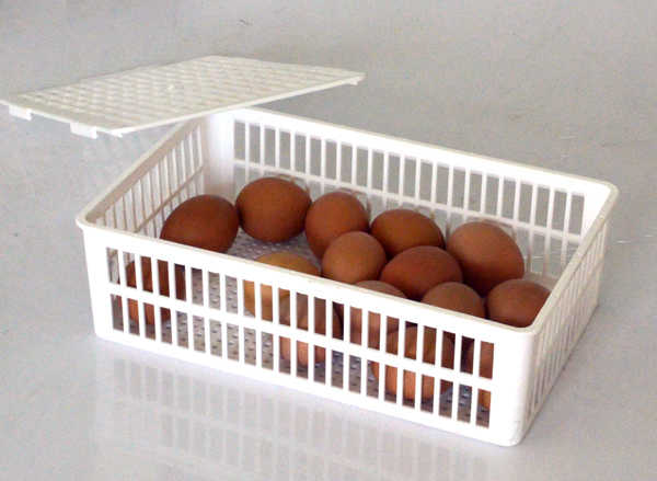 Cesta Incubadora CS152