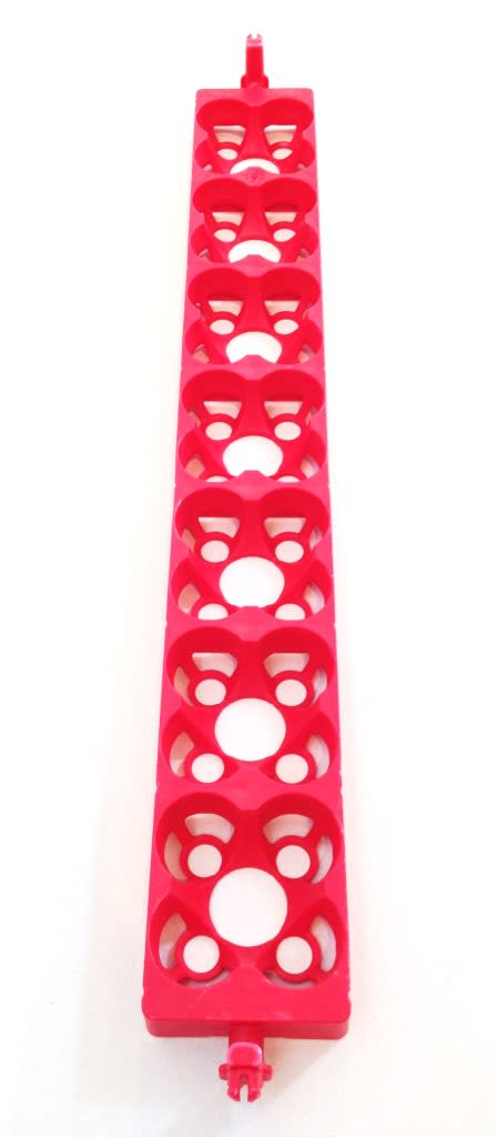 Porta huevos Borotto Real 491