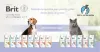 annerpostavet38055.webp
