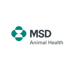 MSD