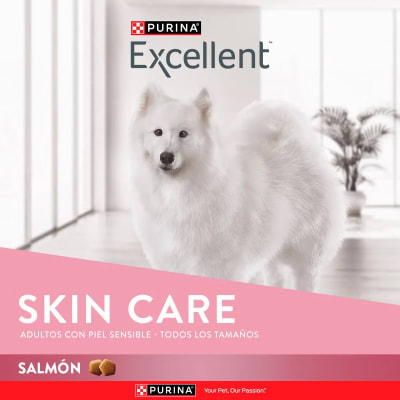 Excellent Adulto con Salmón 12 Kg
