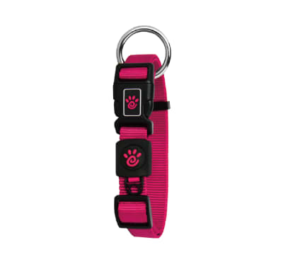 Doco Collar Perro Oring Rosado