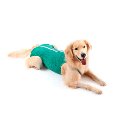 Post Quirúrgica Pet Med Regular Verde para Perros