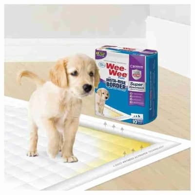 WEE-WEE® SUPER ABSORBENT PADS WITH INSTA-RISE® BORDER