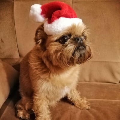 Gorro Navidad Santa Claus