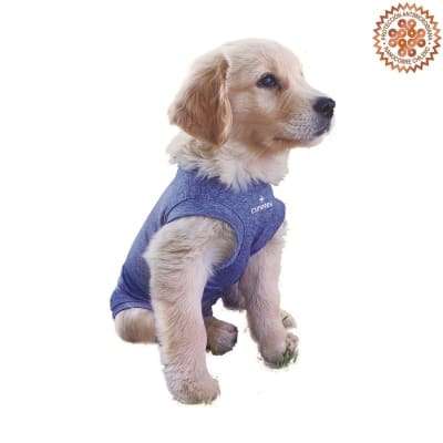 Cunatex Body Post Quirúrgico Tradicional Perro Azul