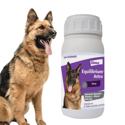 Equilibrium Artro 60 Comprimidos1