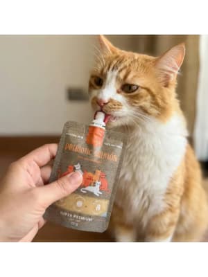 Winga Prebióticos pra Gatos con Salmón 90 gr