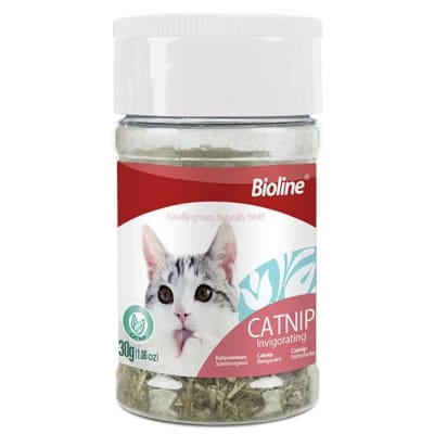 Catnip 30 Gr1