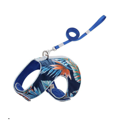 Pechera Gato Azul con Correa1