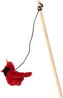 Spot Cat Varilla Ave con Sonido1