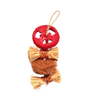 Juguete Colgante Rodajas Loofah 21 cm