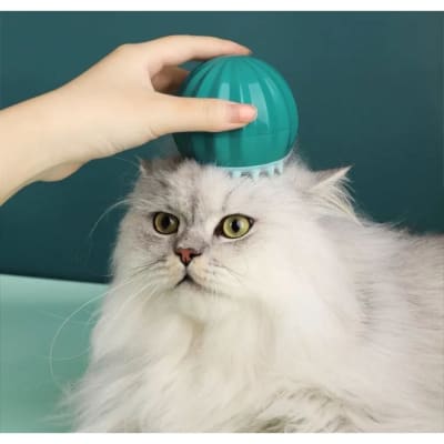 Cepillo forma Cactus para Gato 10x9 cm1