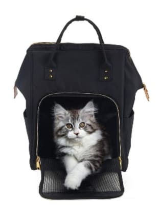 Mochila Maxpet Negra Largo 30 cm Alto 43 cm Profundo 20 cm