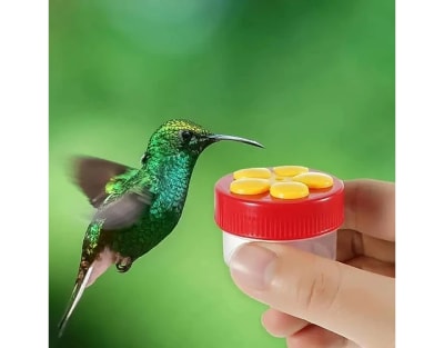 Bebedero colibri para dedo 4x2,5 cm