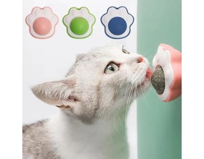 Patita con Catnip Giratorio 6 x 4,5 cm1