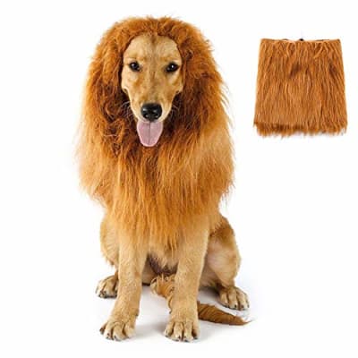 Peluca Perro Grande 