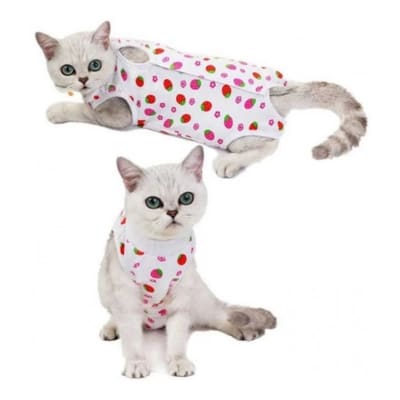 Traje Gato Post Operatorio Diseños