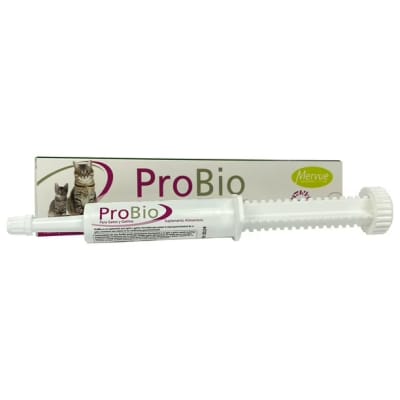 Mervue Veticoal Pasta de Carbón 30 ml