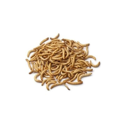 Tenebrios deshidratados 50 Gr