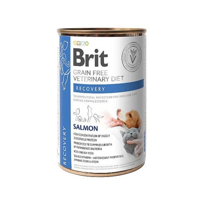 Brit Lata Recovery Perros y Gatos 400 gr