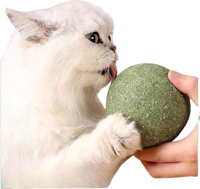 Catnip Pelota Gigante 10 cm diametro1