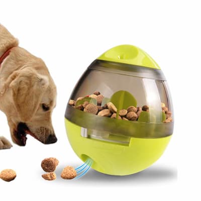 Dispensador Alimento 11 x 9 cm1