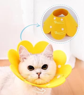 Collar Isabelino Fieltro forma Flor1