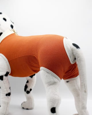 Ropa Cobre Castración Perros