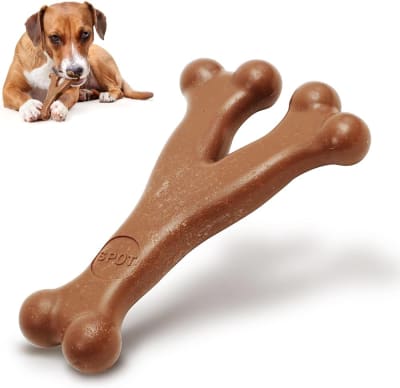 Spot Bam Bones Tipo Y Tocino Grande 17 cm