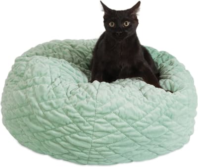 Dumpling Jackson Galaxy Verde 54 cm diámetro.