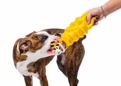 Hartz Double Play Pal Tigre1