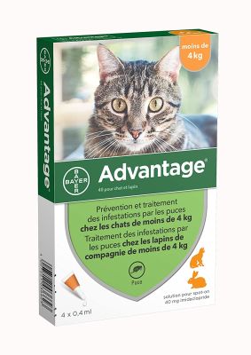 Advantage Gato hasta 4 Kg