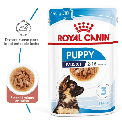 Royal Canin maxi junior 140 gr