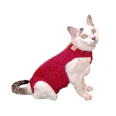 Post Quirúrgica Pet Med para Gato Rosado