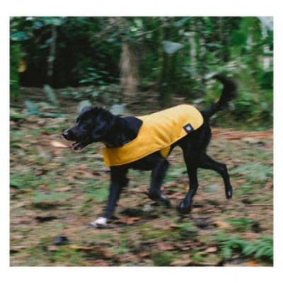 Zeedog Capa Amarilla Talla M