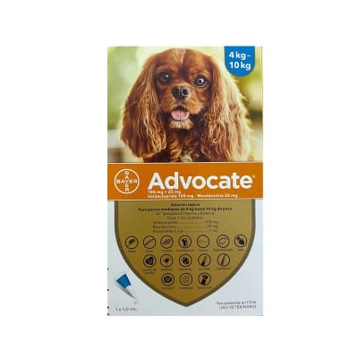 Advocate Perro 4-10 kg 