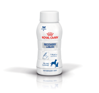 Royal Canin Líquido Recovery para Perros y Gatos 200 ml1