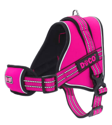 Arnes Vertex Rosado